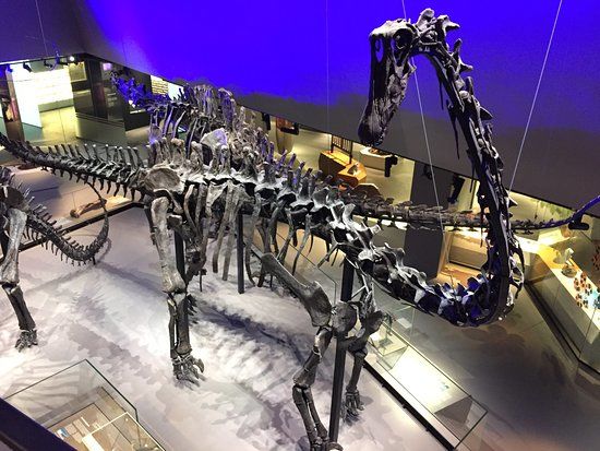 リー・コン・チャン自然史博物館